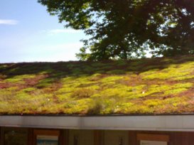 A living roof, creating habitats, soaking up rainwater, and insulating the building at Bristol Zoo